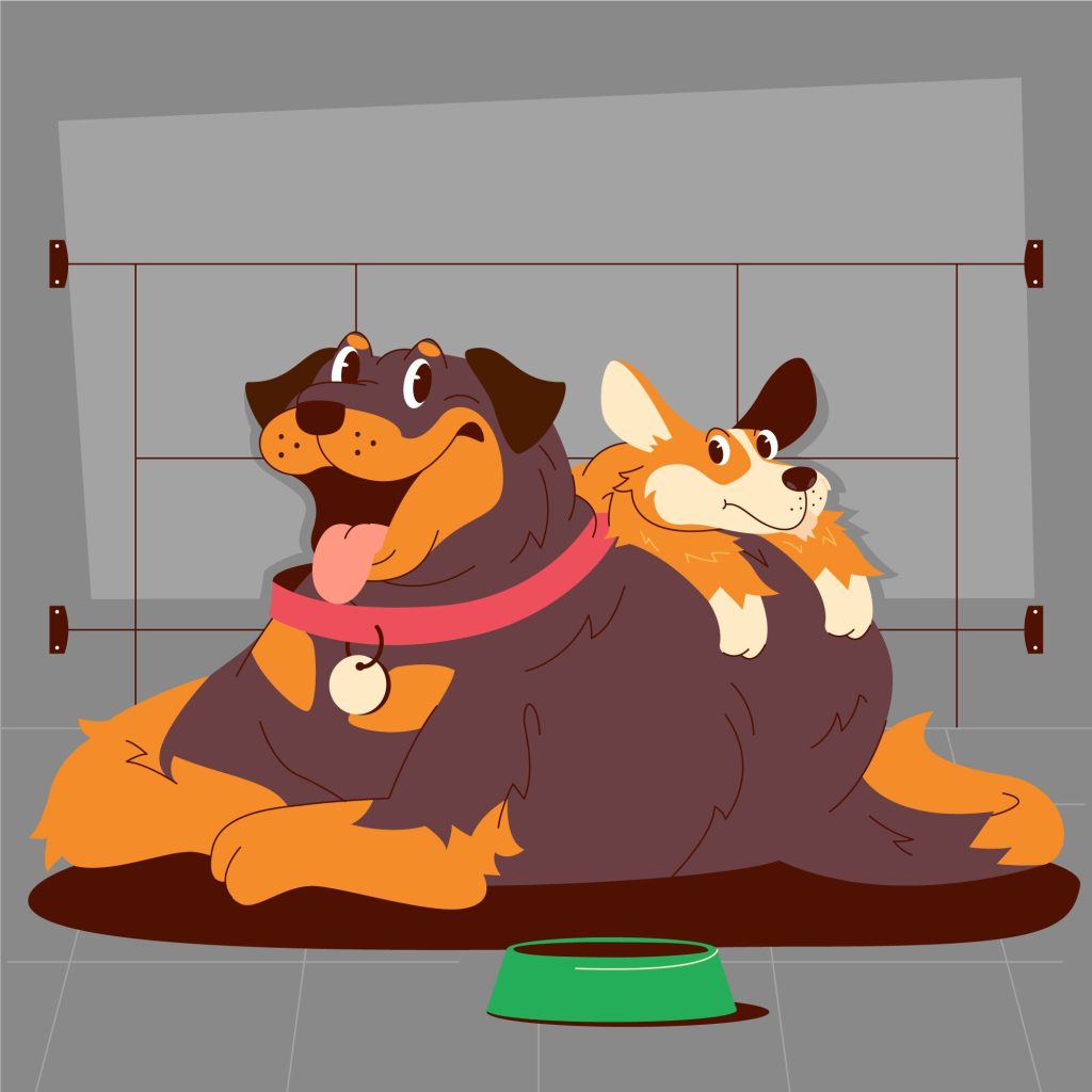 embarazo psicologico en perros 